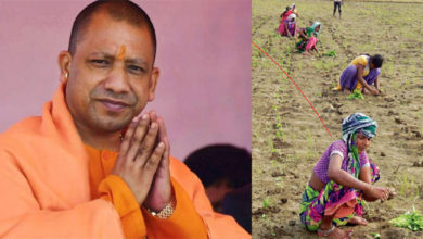 yogi and kisan