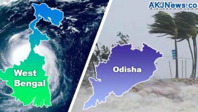effect of yaas in west bengal and odisha