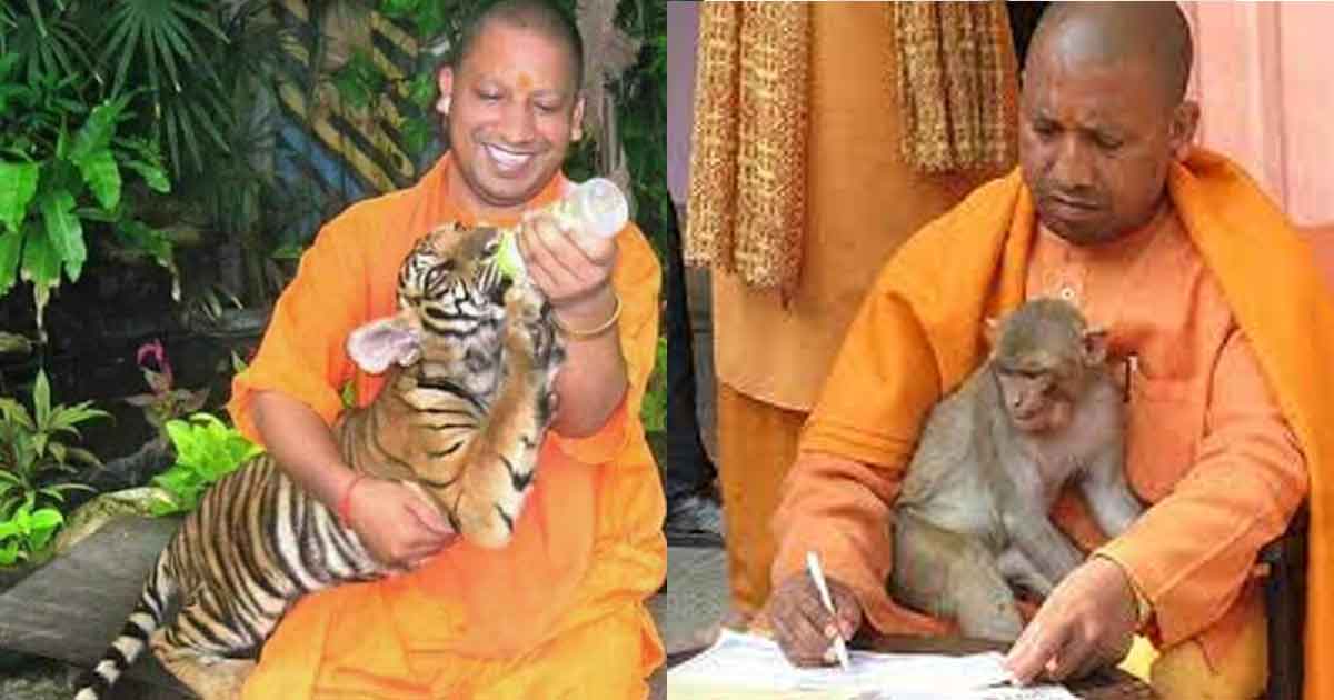 Animal-lover-yogi-adityanath-net-worth