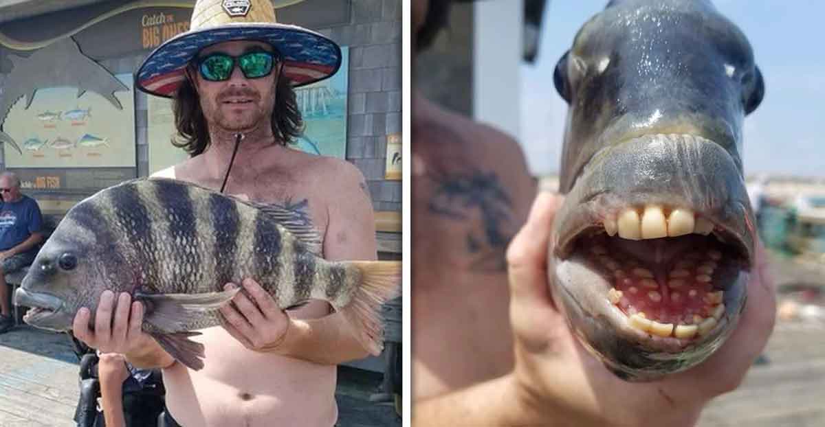 Fishermen-caught-fish-with-human-teeth