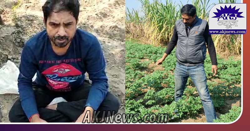Ashish black potato farmer from Bihar