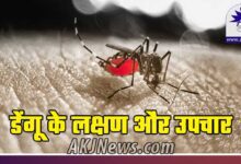 Dengue symptoms and treatment