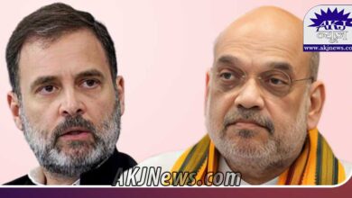 Rahul Gandhi's controversial comment on Amit Shah